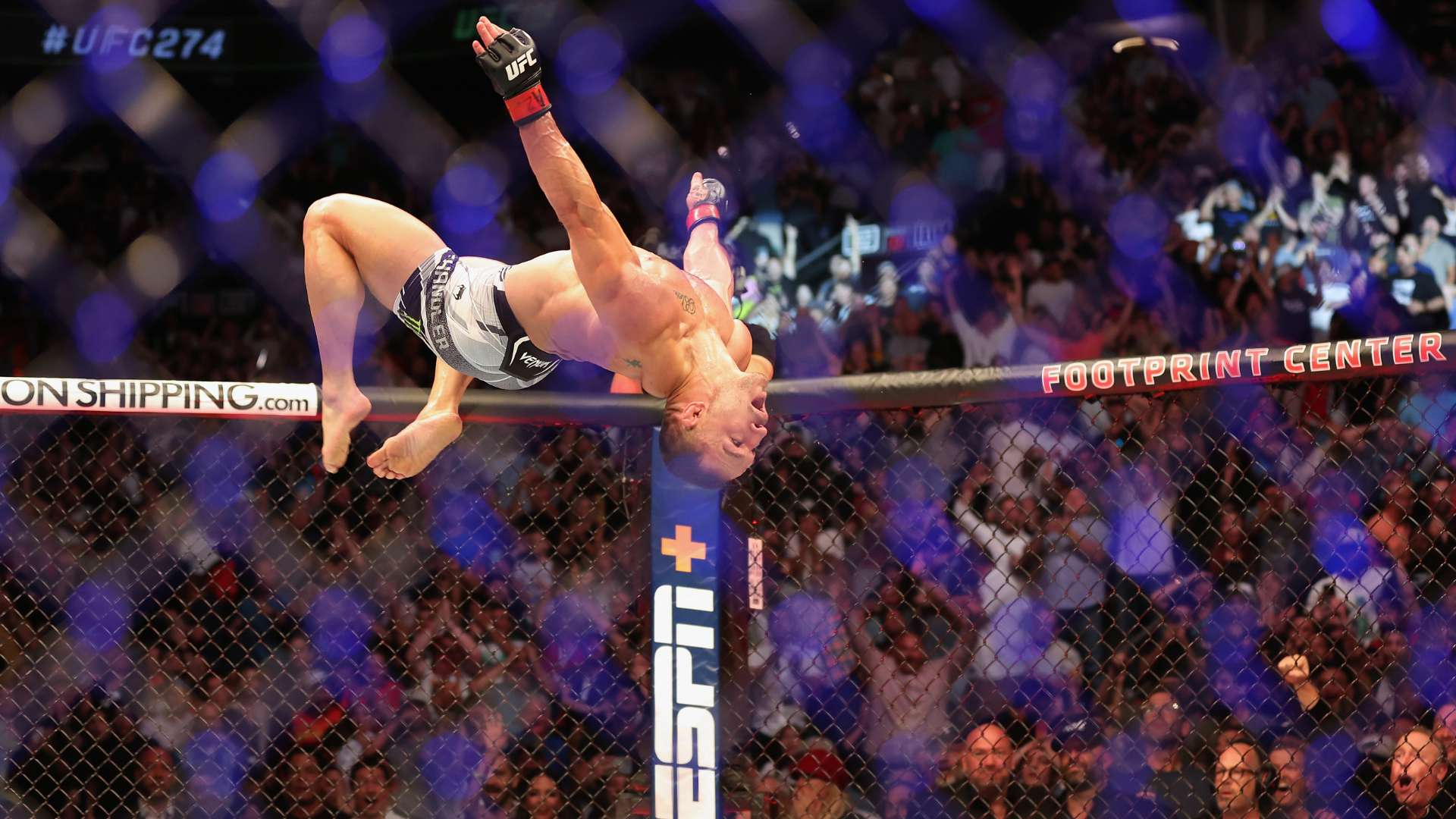 理念及其在 理念及其在